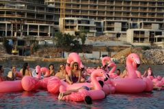 69366791_2270242349952505_2909229435481751552_o_2270242343285839