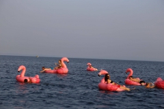 69411841_2270239976619409_948397017397198848_o_2270239969952743