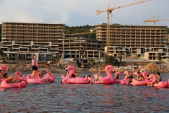 69449221_2270242486619158_7673088717891829760_o_2270242483285825