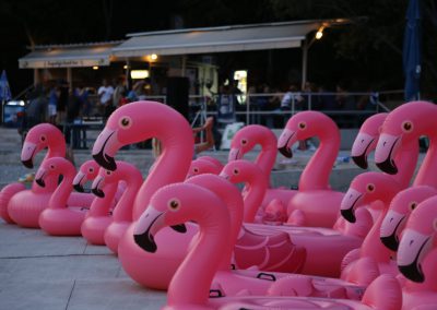 Flamingo Party