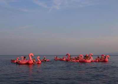 Flamingo Party