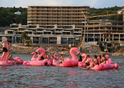 Flamingo Party