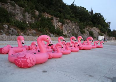 Flamingo Party