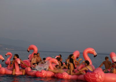 Flamingo Party